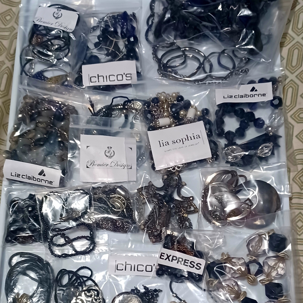 Huge Jewelry Lot Designer Signed Black/SILVER SHINY LC LIA, CHICOS, BRASS PLUM,